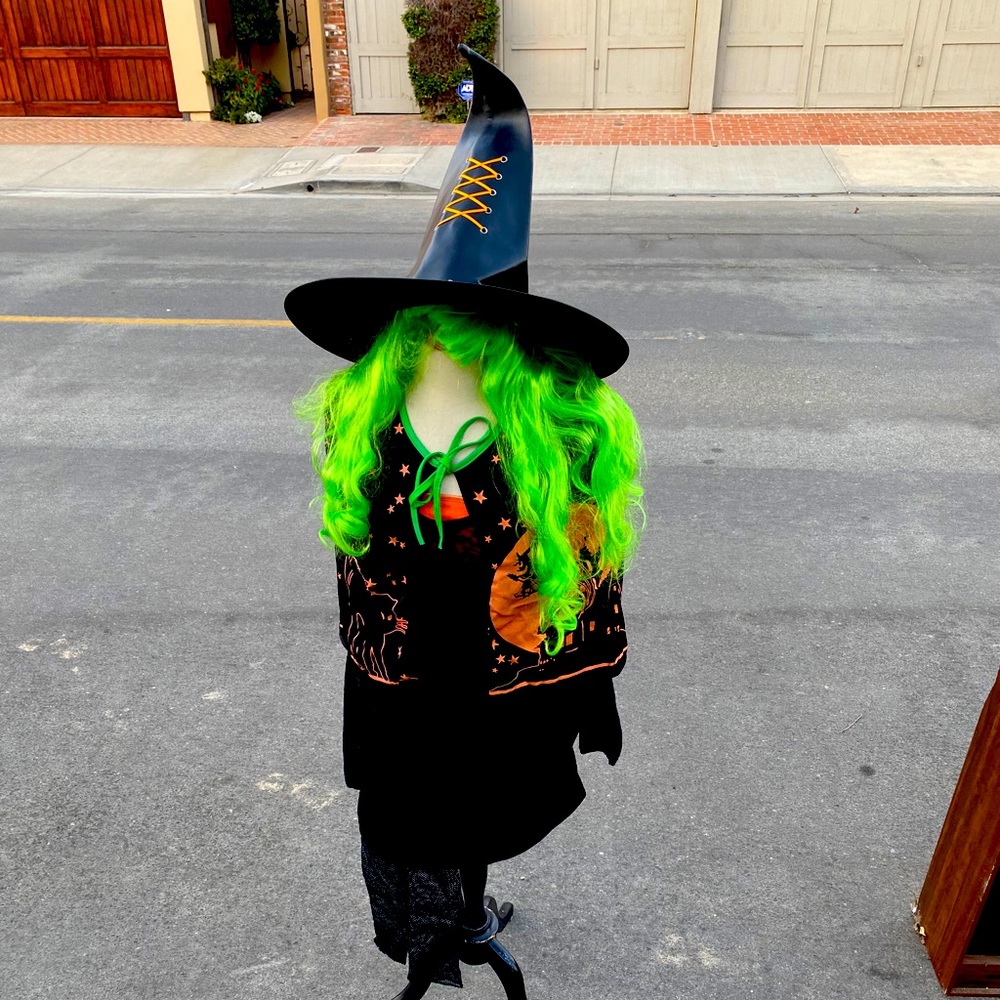Witch costume with wig and fishnets